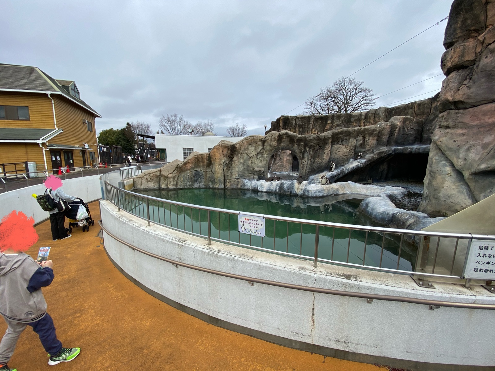 福山市立動物園のペンギンコーナー