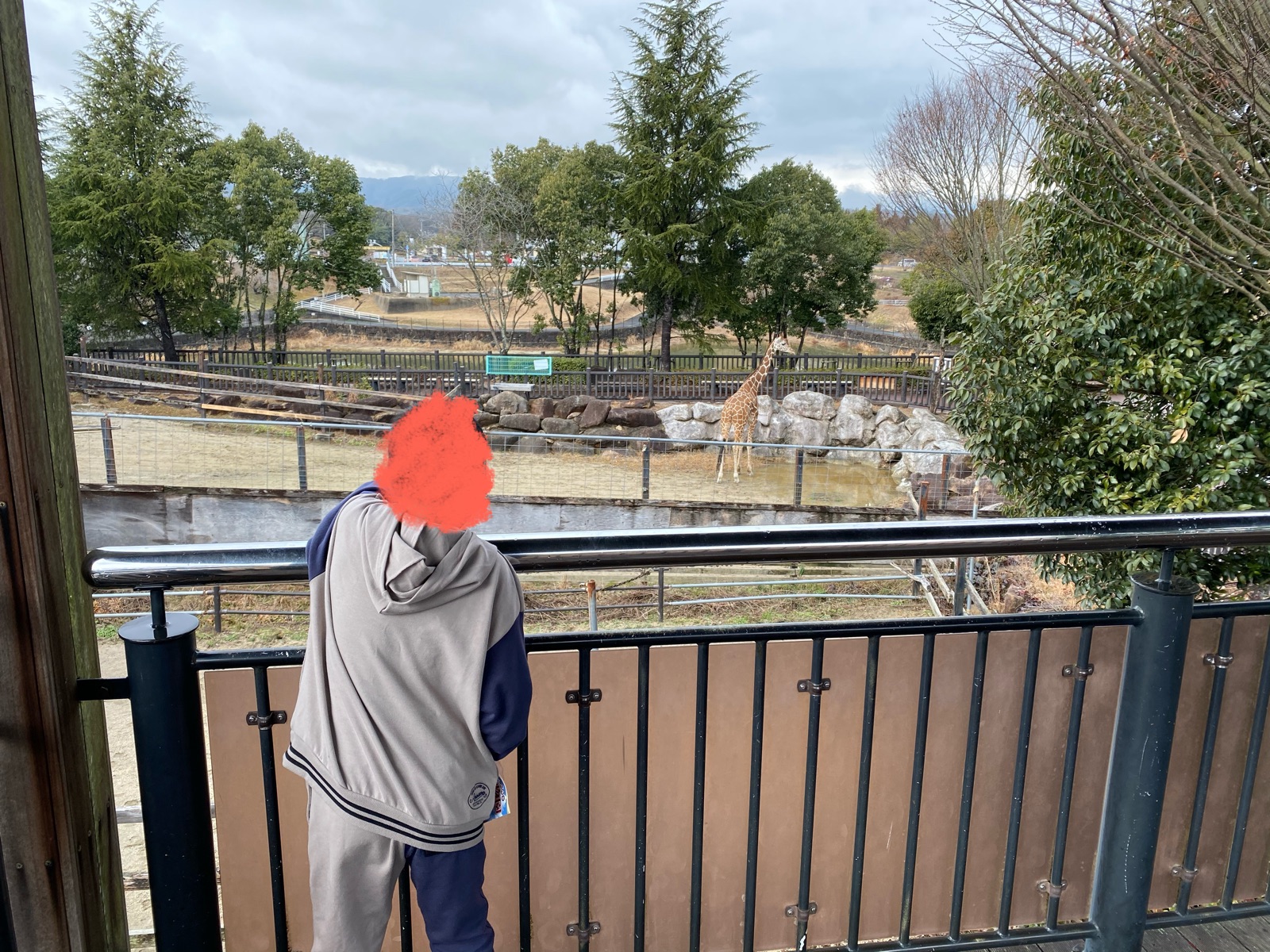 福山市立動物園のキリン観察台