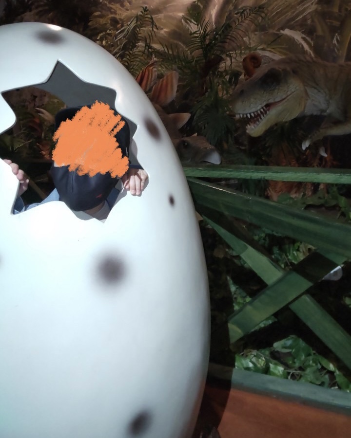 レオマワールド恐竜探検ジュラシックファンタジー卵撮影スポット
