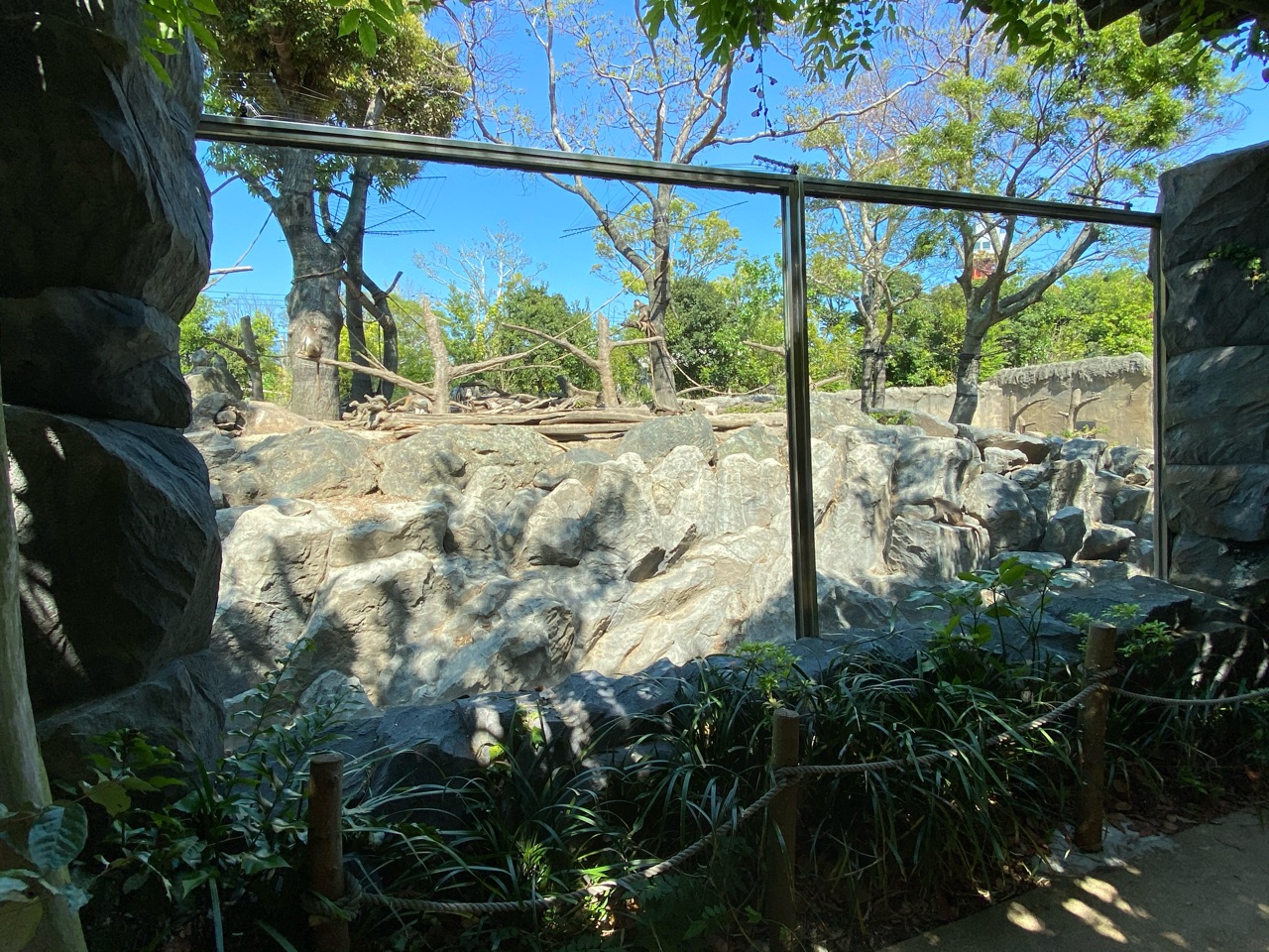 ときわ動物園 サルの柵と溝有り展示エリア