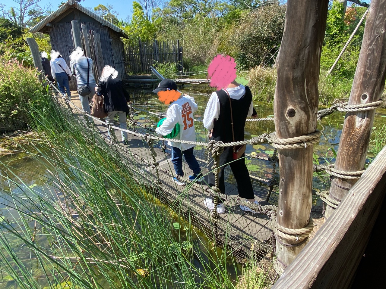 ときわ動物園 池の上の橋